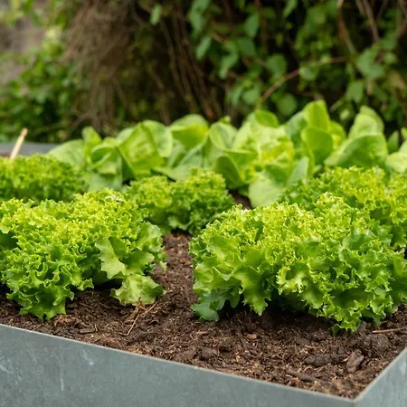 Hotel Garni Sonnenklahr